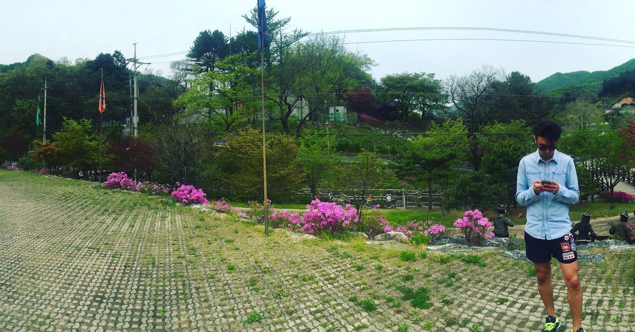 tree, flower, clear sky, growth, lifestyles, plant, leisure activity, men, person, nature, full length, rear view, beauty in nature, day, green color, fence, built structure, casual clothing