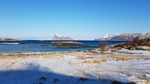 Scenic view of sea against clear blue sky