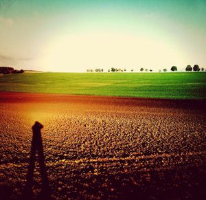 Scenic view of grassy field against sky during sunset