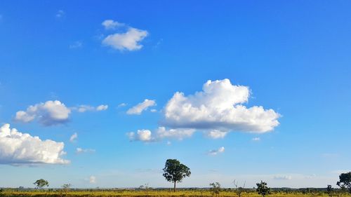 Panoramic view of landscape against blue sky