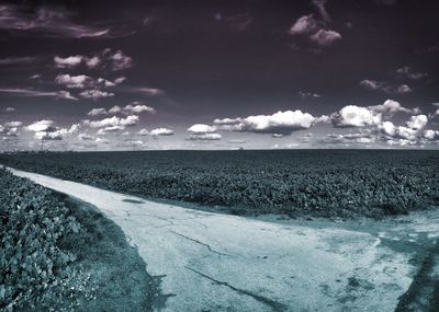 Road by agricultural field against sky