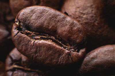 Close up extreme macro group of roasted brown or black coffee beans background in shallow depth of