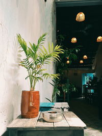 Potted plant on table against wall