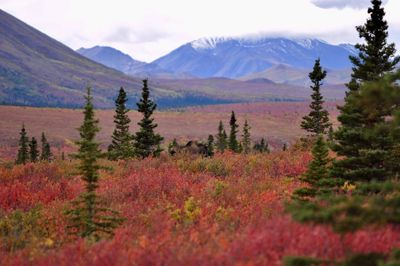 Scenic view of mountains during autumn