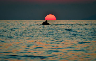 Man in sea against sky during sunset