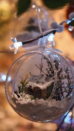 Close-up of christmas decorations hanging on tree