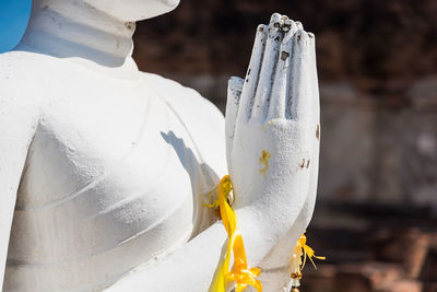 Close-up of white umbrella