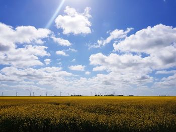 Scenic view of field against sky