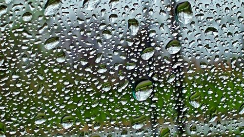 Close-up of water drops on glass