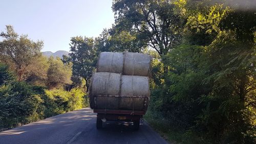 Road amidst trees against sky