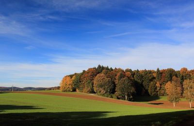 Scenic view of golf course against blue sky