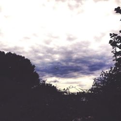 Silhouette of trees against cloudy sky