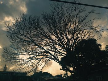 Low angle view of bare tree against sky