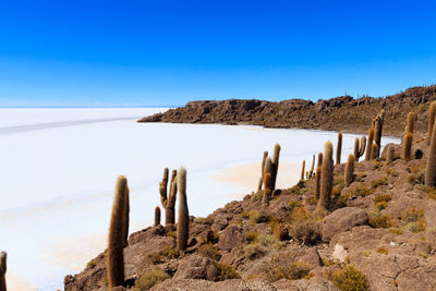 Scenic view of sea against clear blue sky