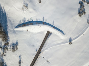 High angle view of snow covered land and trees