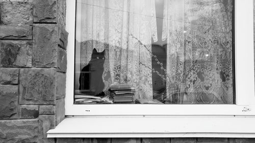 Black cat in a cozy window