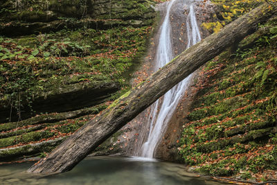 Scenic view of waterfall in forest