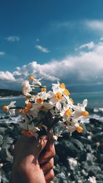 Close-up of hand holding flowering plant against sea