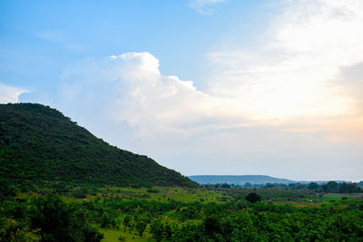 Scenic view of landscape against sky