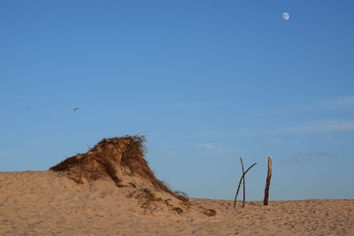 View of a desert