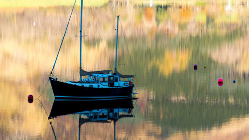 Sailboats moored in lake