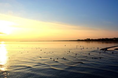 Scenic view of sea at sunset