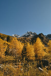 Scenic view of snowcapped mountains against clear blue sky