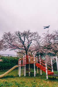 Bird flying over trees against sky