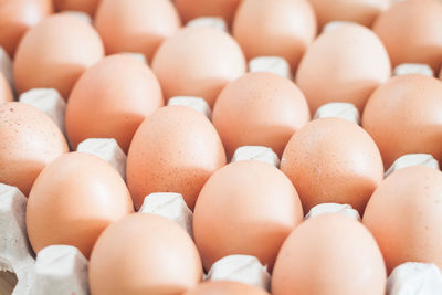 Close-up of eggs in carton