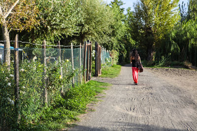 Rear view of woman walking on footpath