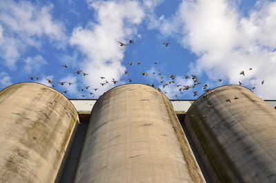 Low angle view of flock of birds flying at silo