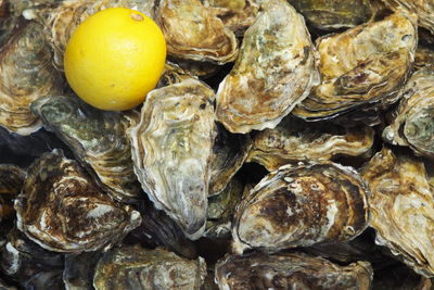 Full frame shot of oysters for sale at market