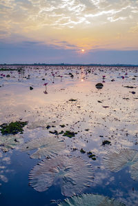 Scenic view of sea against sky during sunset