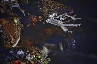 Close-up of frozen rock in lake