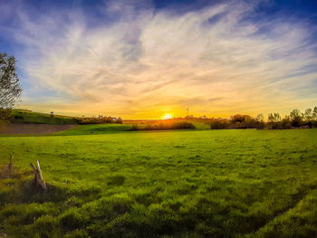 Scenic view of field against sky during sunset