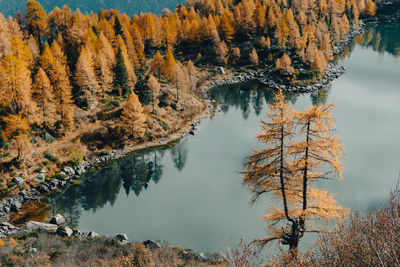 Scenic view of lake by trees during autumn