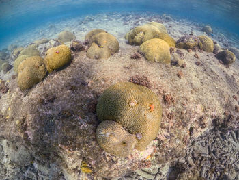 High angle view of rocks on beach