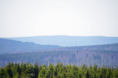 Scenic view of landscape against clear sky
