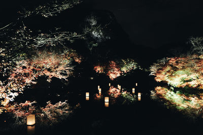 Low angle view of illuminated trees by building at night