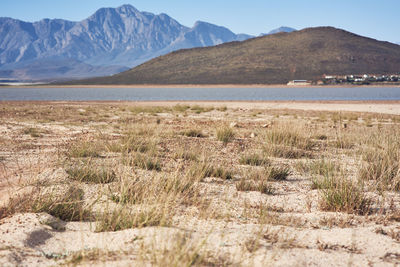 Scenic view of field against mountain