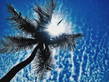 Low angle view of palm trees against blue sky