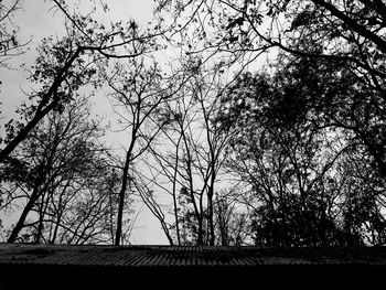 Low angle view of silhouette bare trees against sky