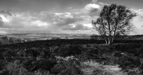 View of landscape against cloudy sky