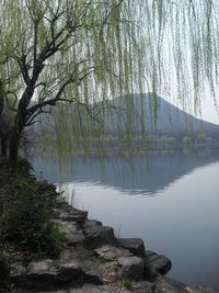 Scenic view of river against sky