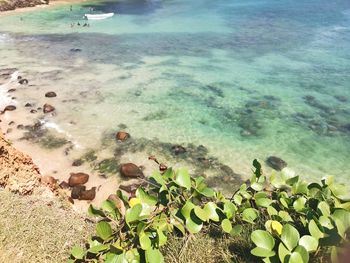 High angle view of sea shore