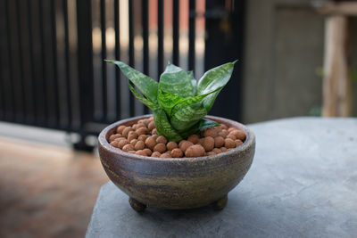 Close-up of fruit on table