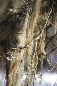 Close-up of splashing water