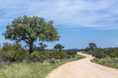 Dirt road amidst trees against sky