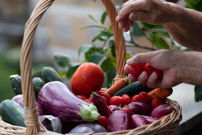 Midsection of person holding vegetables in basket