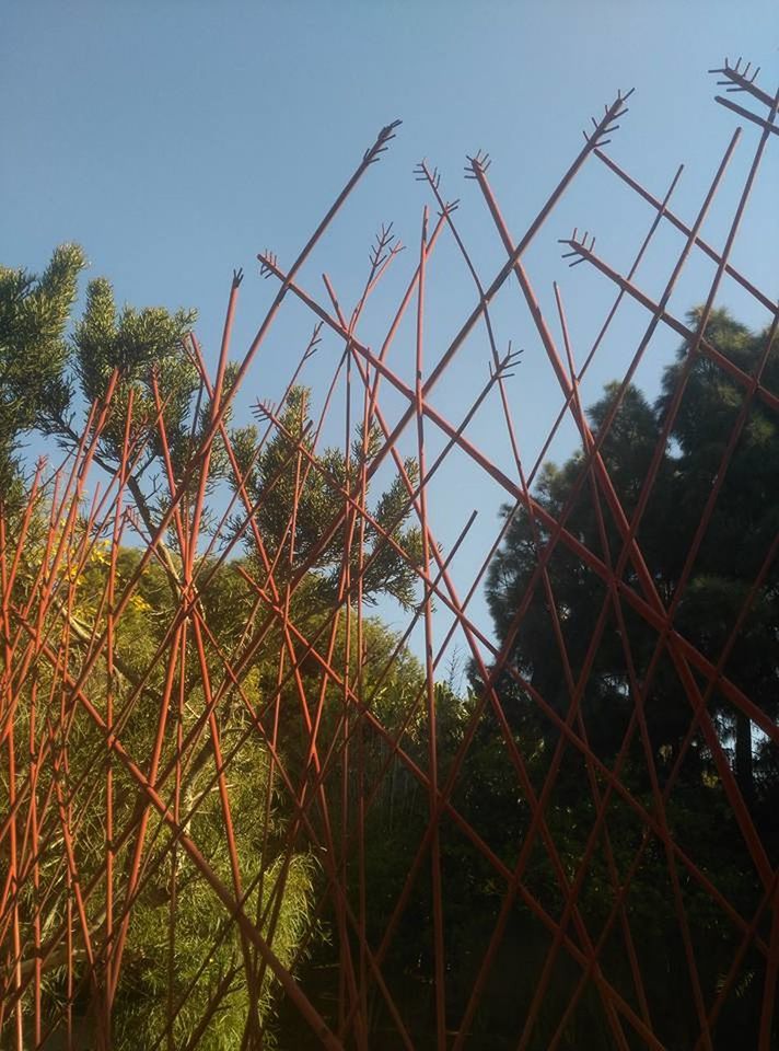 LOW ANGLE VIEW OF PLANTS GROWING ON FIELD AGAINST BLUE SKY